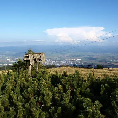 Summit View